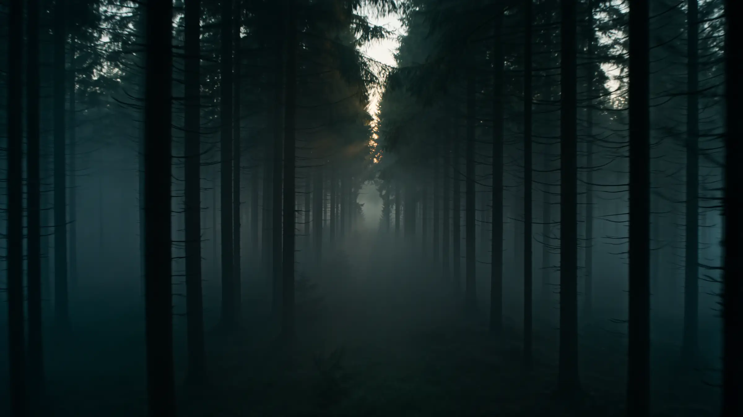 Nebliger Schwarzwald in der Morgendämmerung